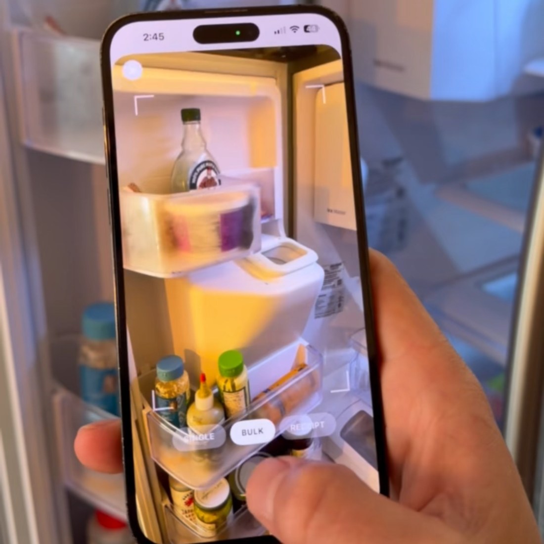 p8-fridge-scan.jpg